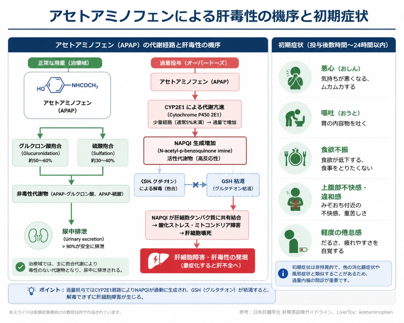 アセトアミノフェン肝障害メカニズムと初期症状