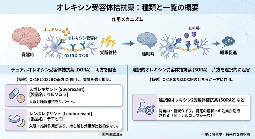 オレキシン受容体拮抗薬の種類と一覧