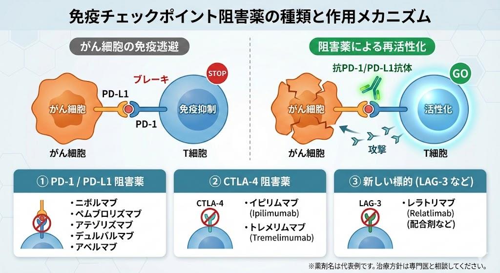 免疫チェックポイント阻害薬の種類と一覧